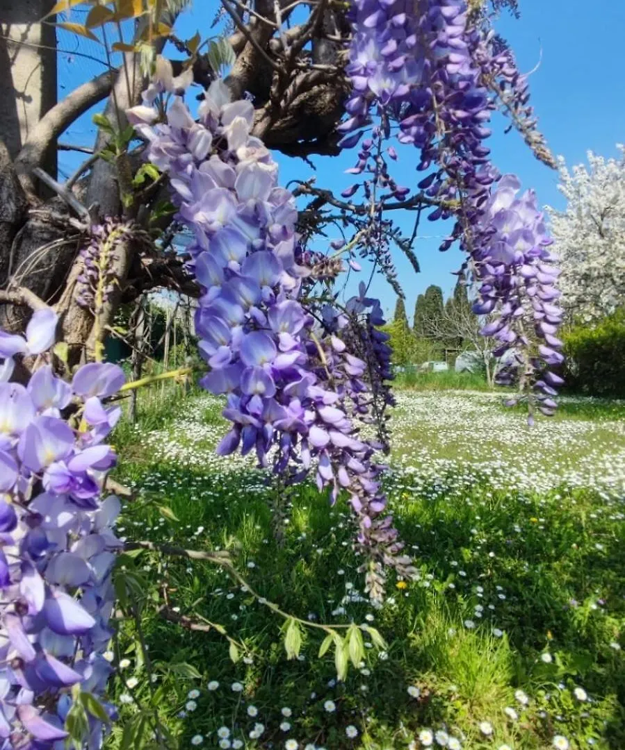 Bed And Breakfast Priscilla Volpago del Montello